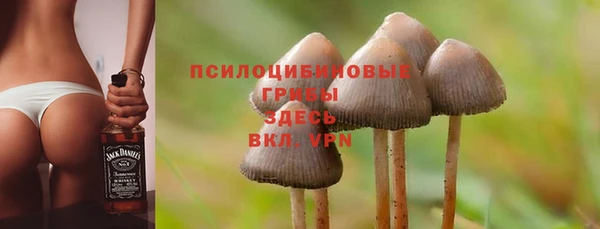 твердый Беломорск