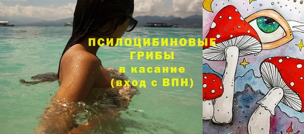 эйфоретик Белокуриха