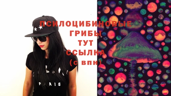 эйфоретик Белокуриха